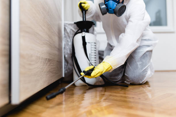 Best Bed Bug Extermination  in El Paso De Robles, CA