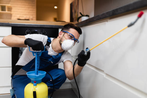 Best Affordable Pest Control Services  in El Paso De Robles, CA