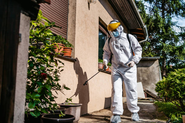 Best Best Pest Control Companies  in El Paso De Robles, CA