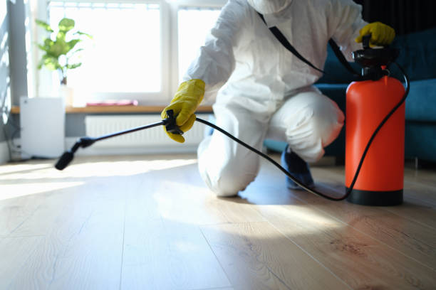 Professional Pest Control in El Paso De Robles, CA