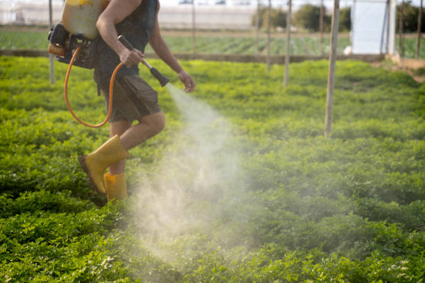 Best Commercial Pest Control Services  in El Paso De Robles, CA