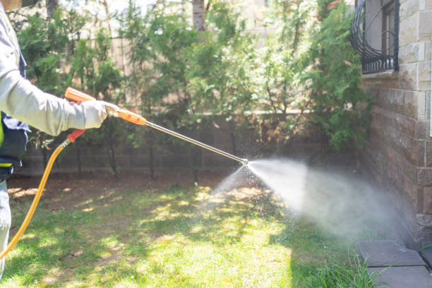 Best Best Pest Control Companies  in El Paso De Robles, CA