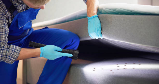 Best Residential Pest Control  in El Paso De Robles, CA