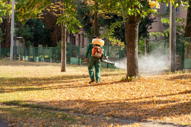 Reliable El Paso De Robles, CA Pest Control Solutions