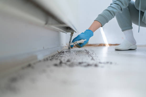 Best Pest Prevention Services  in El Paso De Robles, CA